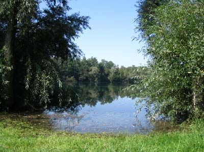 Reitstall Ulm Neu-Ulm Harzerhof Grillplatz und Badewiese am Gurrensee