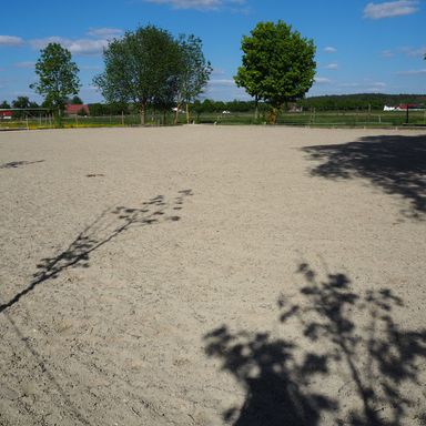 Reitstall Ulm Neu-Ulm Harzerhof Dressurplatz Flutlichtanlage